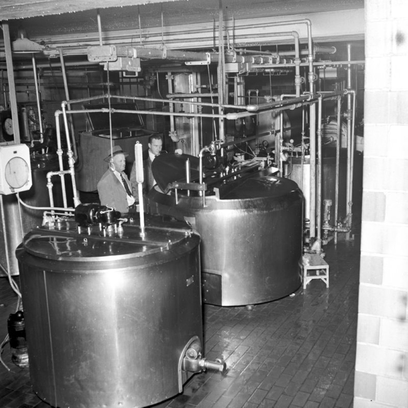 066_and placed in tanks before... (1952).jpg